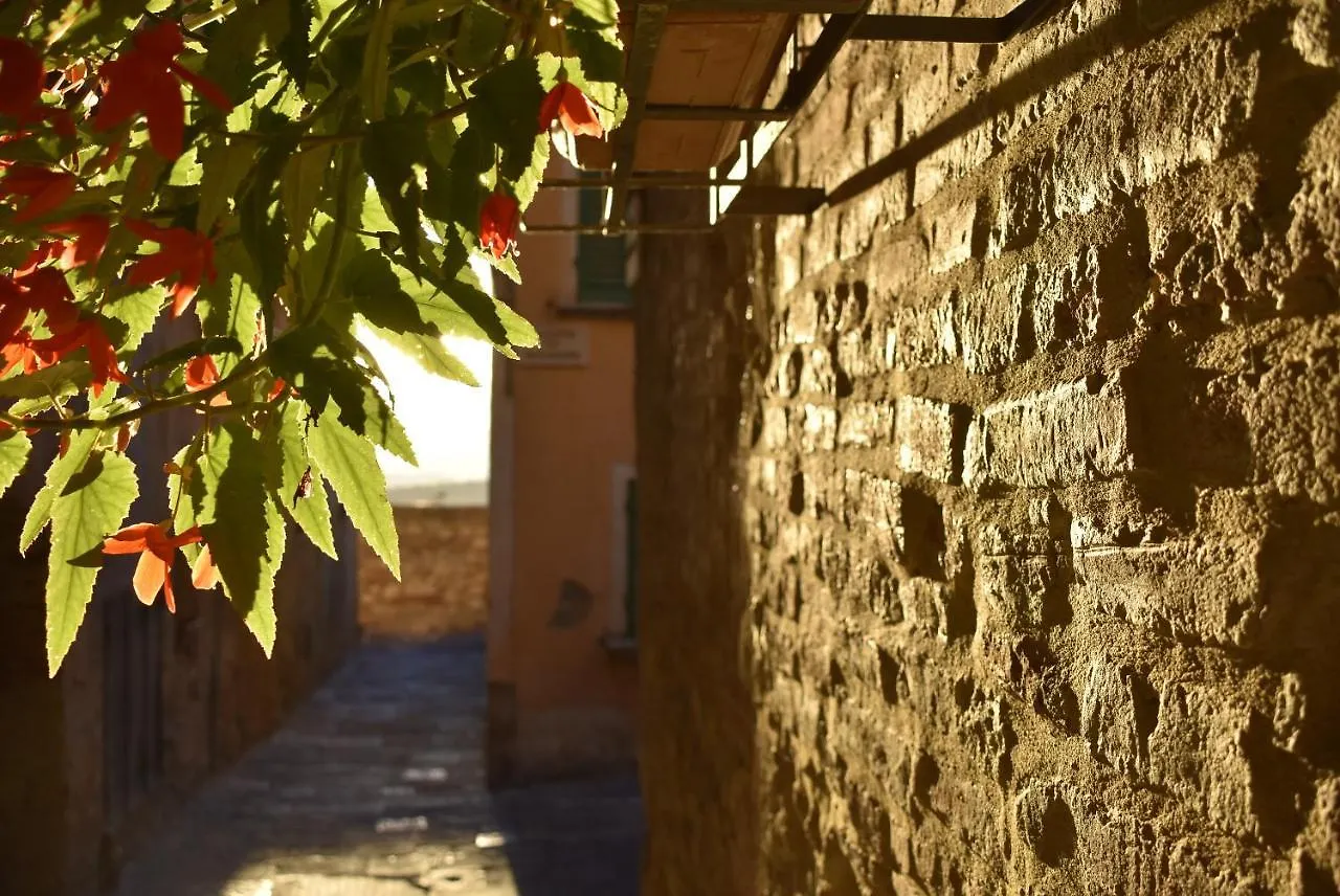 La Casa Del Buonumore Apartment Montepulciano Italy